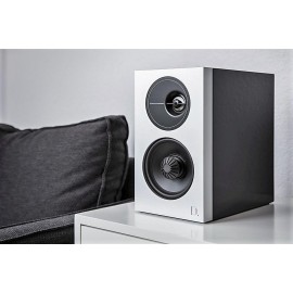 Definitive Technology Demand D11 Raf Tipi Hoparlör 